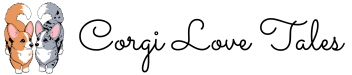 Corgi Love Tales